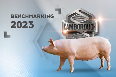 benchmarking-2023