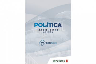 guias-politica2